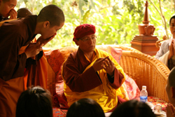 Posted Image